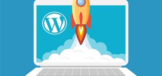 The Speed Of Your WordPress Website