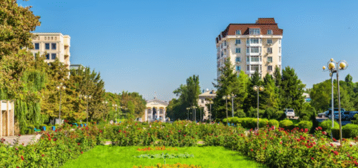 Comfortably at Lentor Gardens