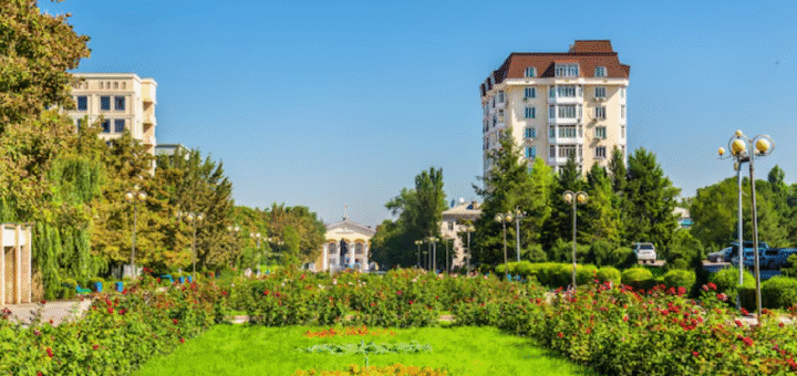 Comfortably at Lentor Gardens